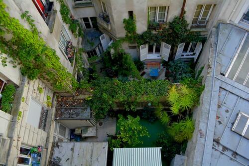rooftop garden