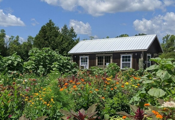 A Guide to Your Ideal Backyard Garden Shed