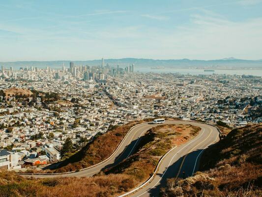 How Urban Tree Loss is Impacting Wildlife in 2024
