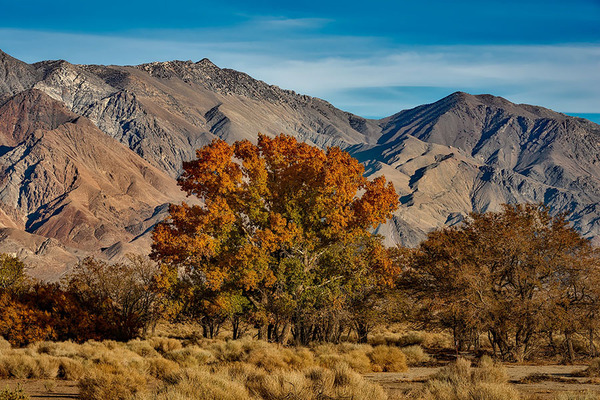 Autumn in Northern California: A Celebration of Nature’s Beauty