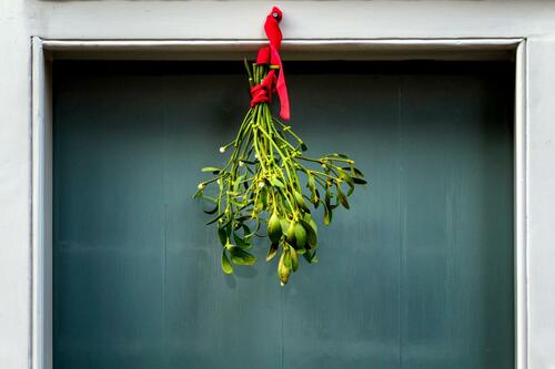 Holiday Mistletoe Decor