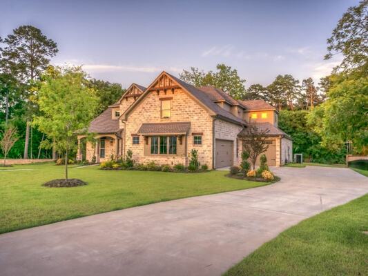 Choosing Trees for Your Front Yard