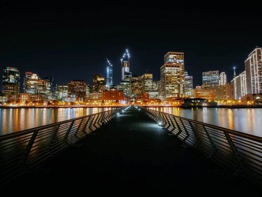 Urban Trees: Nighttime Havens for Nocturnal Wildlife in 2024