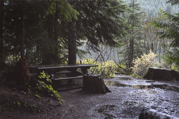How to Avoid Water Erosion and Runoff in Your Landscaping