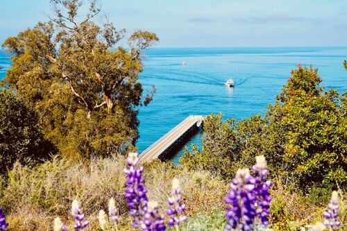 Scenic Coastal View with Pier and Boat