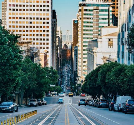 Pruning the Street Trees of San Francisco