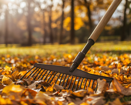 The Top 5 Rakes for Your Fall Landscaping Chores