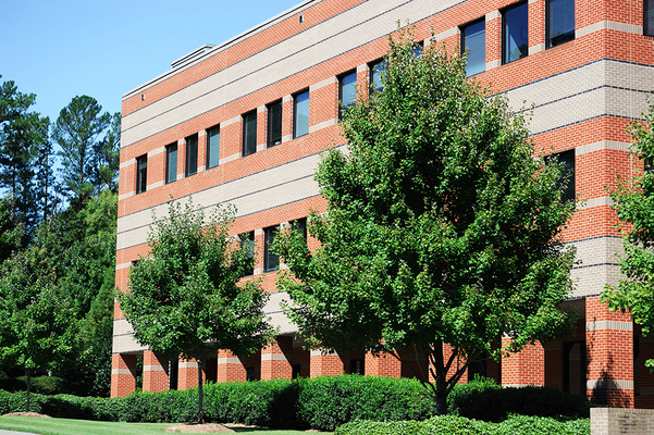 The Top 3 Tree Types for Commercial Landscaping