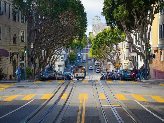 Why are Street Trees So Important to Urban Areas?