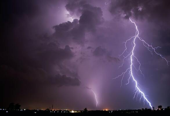 Top Tree Safety Tips for Thunderstorms