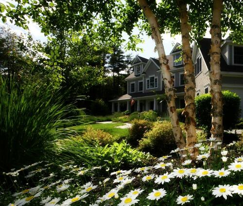 Beautiful Garden Landscaping with Birch Trees
