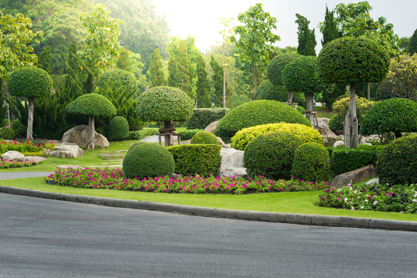 Refer a Friend and Earn $100 with Arborist Now