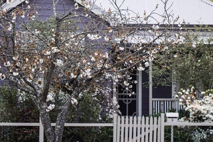 White Flowers