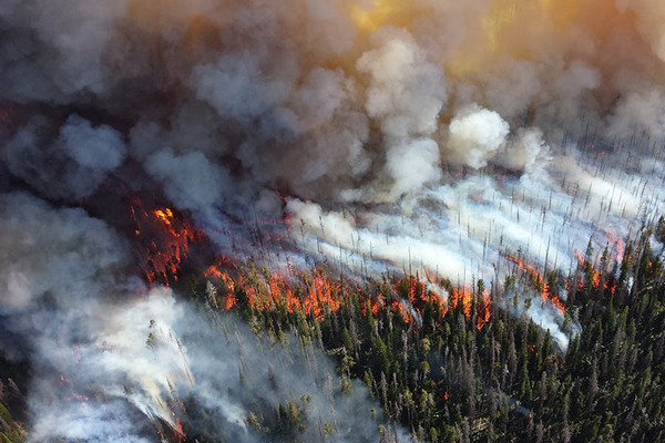The After-Effects of Wildfires in California are Wide-Ranging