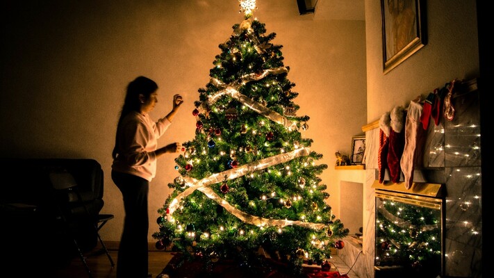 Taking Care of Your Evergreen Christmas Tree in a Warm Climate
