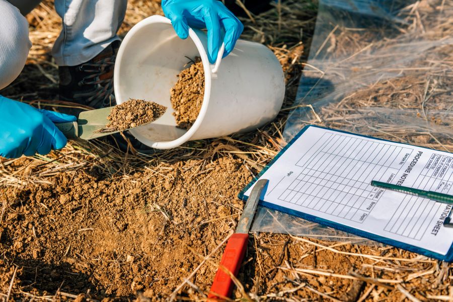 A scientist collecting soil samples with a trowel and bucket for testing and analysis.