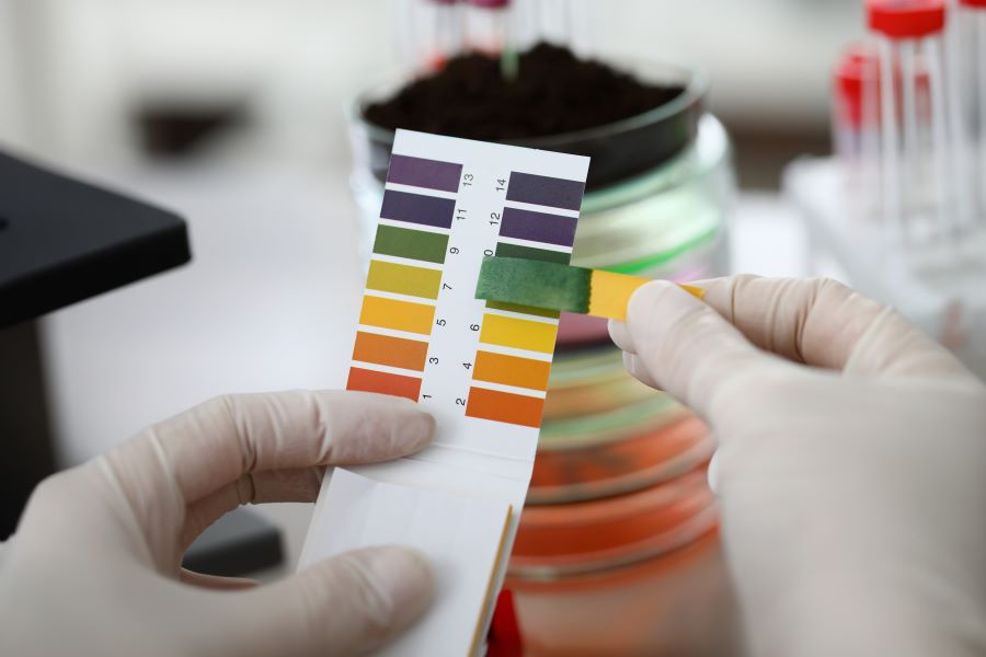 A gloved hand using a pH test strip to measure soil acidity for optimal plant health.