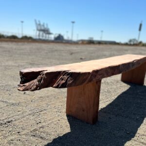 Redwood Old Growth Waterall Bench