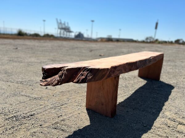 Redwood Old Growth Waterall Bench