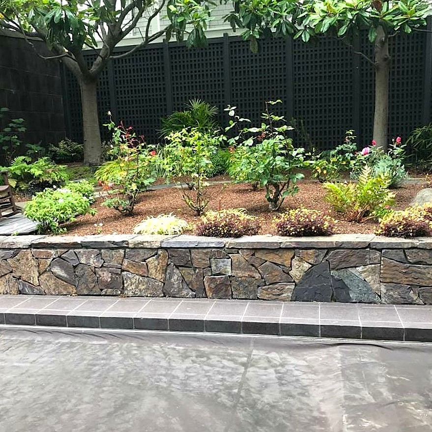Integrated landscape and arboriculture design maintained through Commercial Landscaping Services in San Francisco
