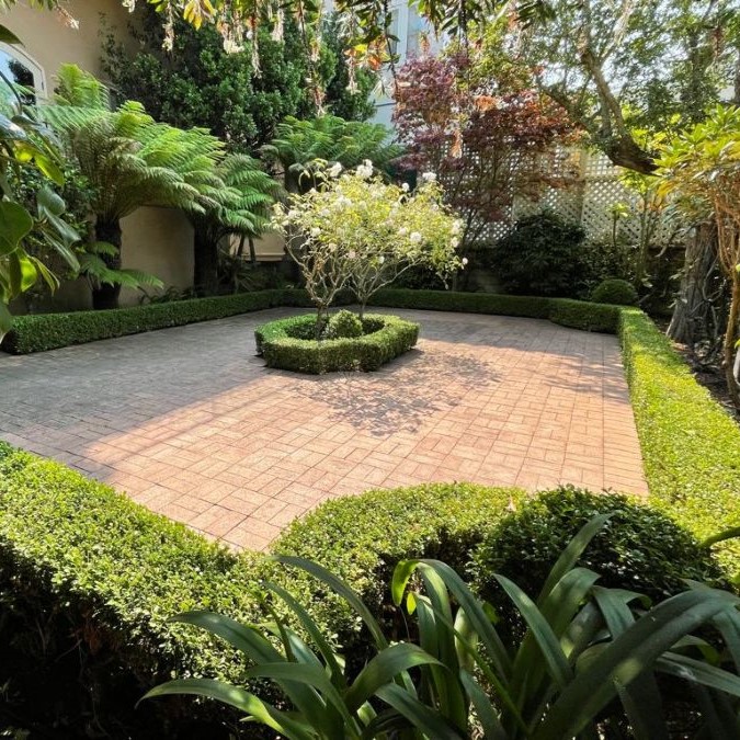 Professionally maintained commercial courtyard landscape through Commercial Landscaping Services in San Francisco