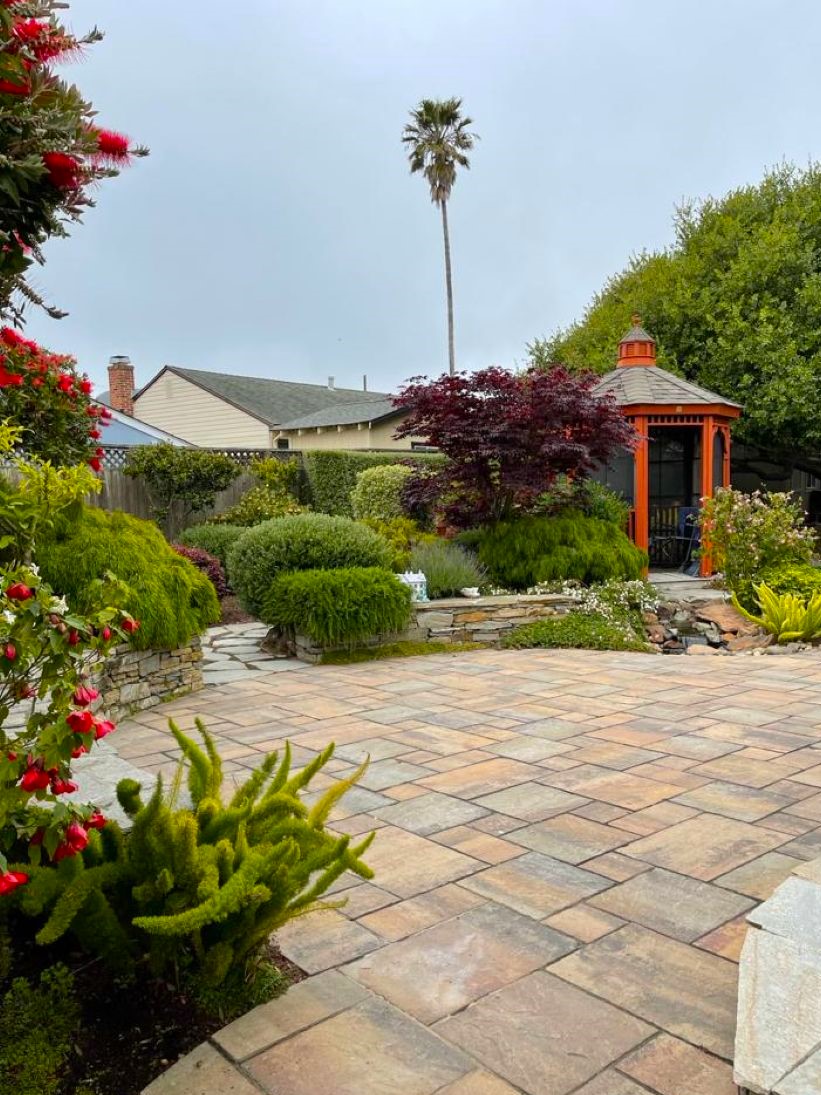 Well-maintained commercial courtyard landscape maintained through Commercial Landscaping Services in San Francisco