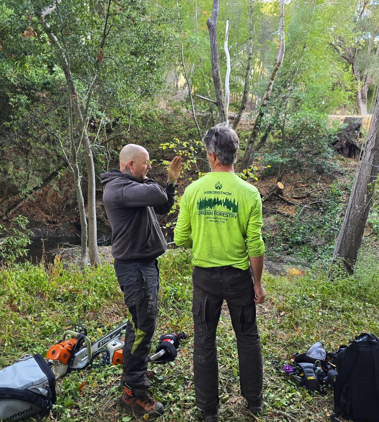 Arborists conducting on-site residential tree assessment and consultation in the San Francisco Bay Area