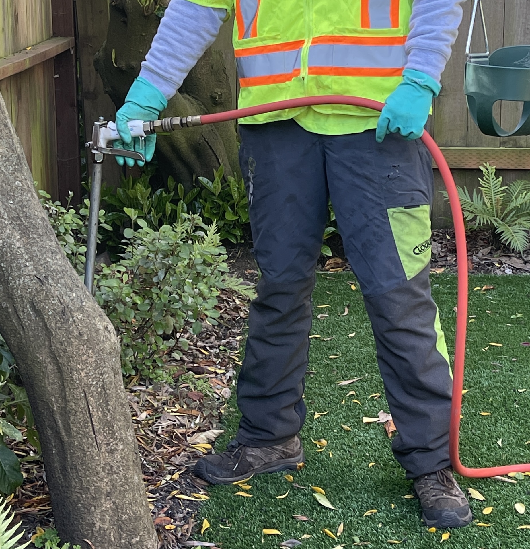 Certified Arborist Now technician performing residential plant care and tree health service in San Francisco backyard