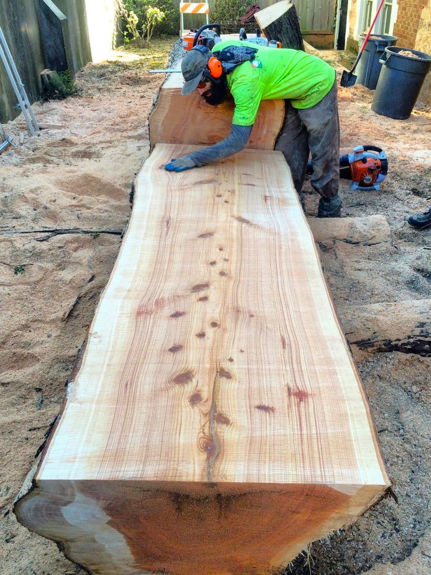 Arborist Now team finishing a live-edge urban wood slab milled from a residential tree in San Francisco